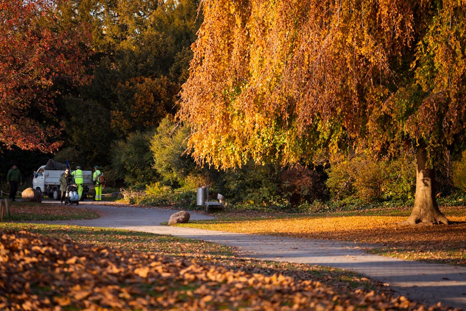 In a scenic outdoor setting within Battersea Park, a wide paved pathway winds through the landscape, flanked by fallen autumn leaves and patches of grass. On the right, a large deciduous tree with vibrant orange and yellow foliage extends its branches over the path, casting dappled shadows on the ground. To the left, a group of three gardeners dressed in high-visibility jackets and protective gear are gathered near a small white utility vehicle, possibly engaged in park maintenance or hedge trimming. The background showcases a variety of trees with multicolored leaves in shades of red, green, and gold, creating a rich, seasonal tapestry. The environment is well-lit with warm, natural sunlight, highlighting the textures of wet soil, trimmed grass, and leafy branches. Gardeners Battersea specializes in outdoor landscaping and lawn care, as reflected in the scene's orderly appearance, neat pathways, and well-maintained natural elements, emphasizing the park's ongoing garden maintenance efforts during the autumn months.