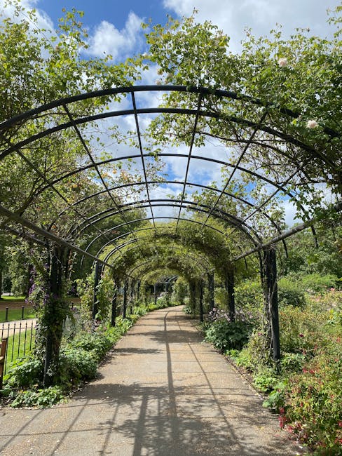 A garden pathway covered by a black metal archway structure, with climbing plants and green foliage creating a canopy overhead. The path is made of gravel or concrete, with neatly maintained flower beds and shrubs on either side. In the background, there is a clear blue sky with some clouds, and the surrounding trees are lush and vibrant. The scene reflects a well-kept garden area, ideal for outdoor leisure and garden maintenance, showcasing trimmed plants and healthy soil. Gardeners Battersea might perform hedge trimming, planting, and general landscaping work to preserve the tidy appearance of this outdoor space.