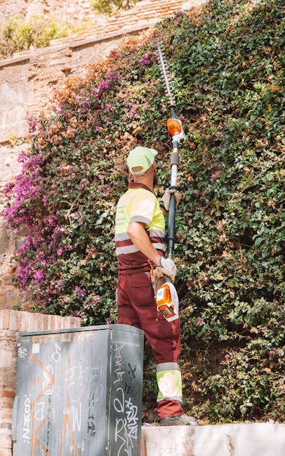 A gardener wearing a pale green cap, a high-visibility yellow and red vest, maroon trousers, and gloves is trimming a dense, green hedge with a long-handled pruning tool, removing overgrown branches. The hedge features small, glossy leaves mixed with clusters of pink and purple flowers, and it runs alongside a stone wall with a slight incline. The gardener is standing on a paved surface, partially obscured by a black trash bin covered in graffiti that is positioned in the foreground. The scene is outdoors, illuminated by natural daylight, highlighting the textures of the leaves, soil, and the gardener's clothing, reflecting meticulous garden maintenance by Gardeners Battersea, as part of their landscaping work aimed at lawn care and hedge trimming.