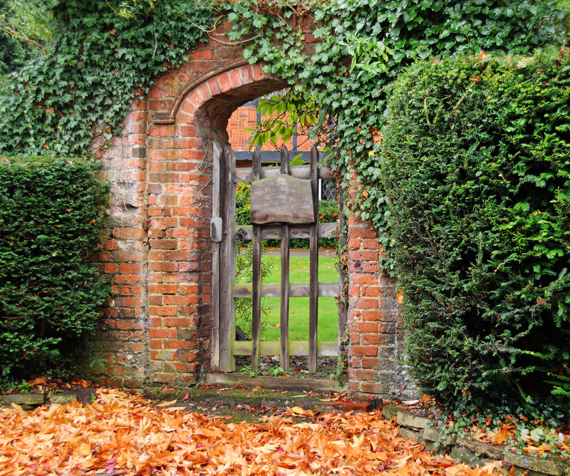 Garden lawn